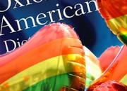 New Oxford American Dictionary defines gay as stupid, foolish