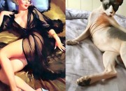 cats as pinup girls